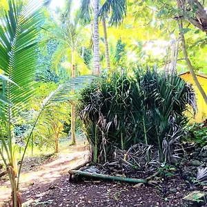 La Familia And Natural Farm 3*, Port Antonio Jamaica