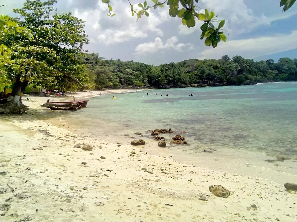 Porty Hostel Port Antonio